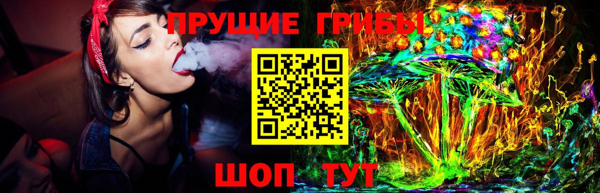 Псилоцибиновые грибы GOLDEN TEACHER Россошь