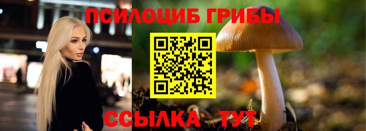продажа наркотиков  Вход с VPN  Россошь  Псилоцибиновые грибы Psilocybine cubensis 